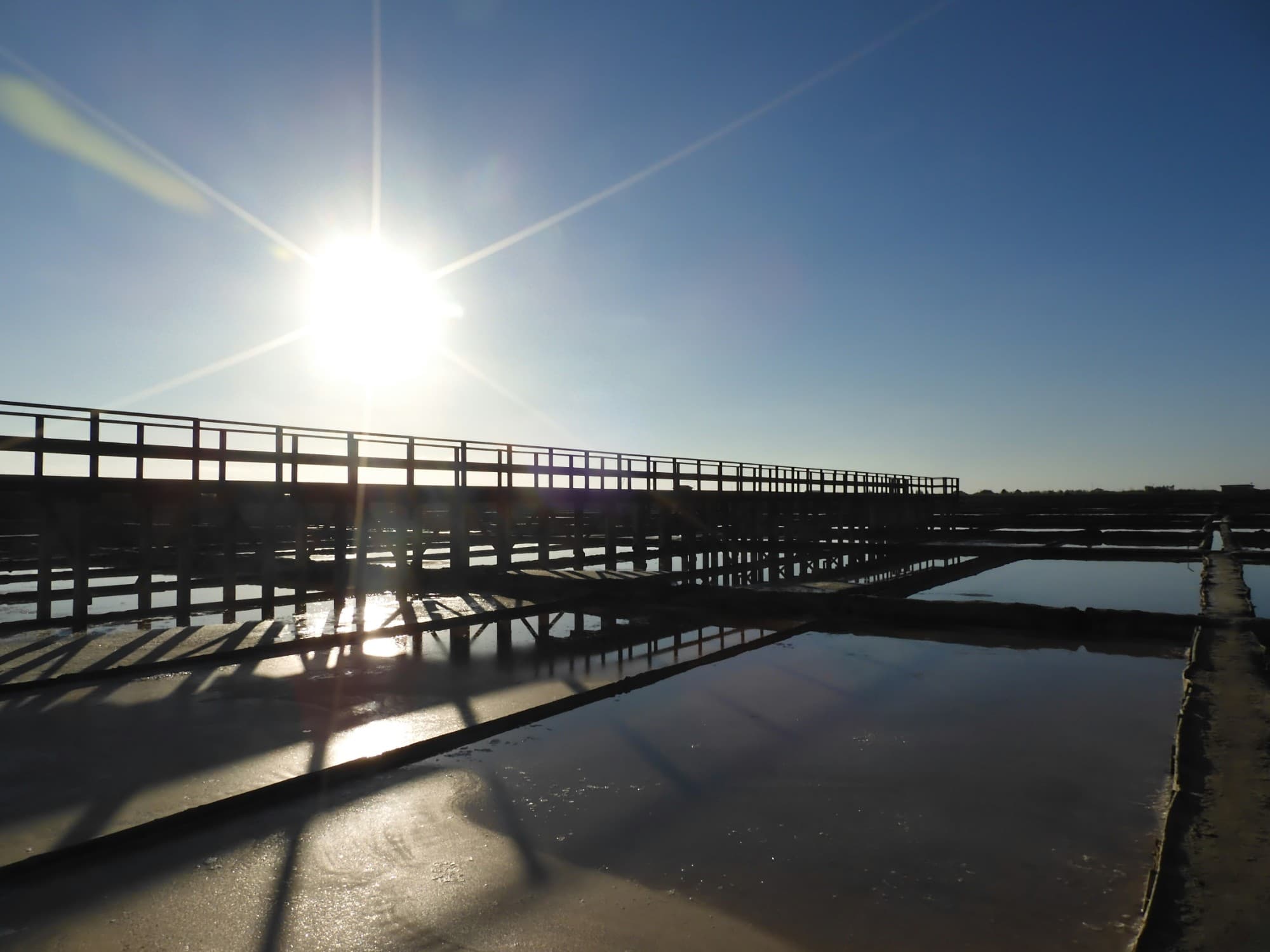 A wooden walkway crossing the shallow salt pans of the Ria de Aveiro, backlit by the sun